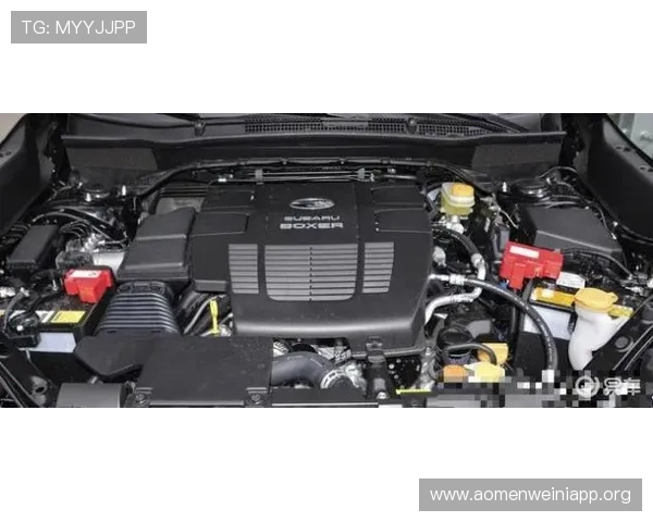 全面解析ag网上真人平台的特色功能与用户体验提升方案